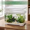 2 Gallon Plastic Fish Tank with Drain Hole - 30x19x17cm Shatterproof Small Rectangular Aquarium for Betta Fish & Guppies - Clear Desktop Terrarium