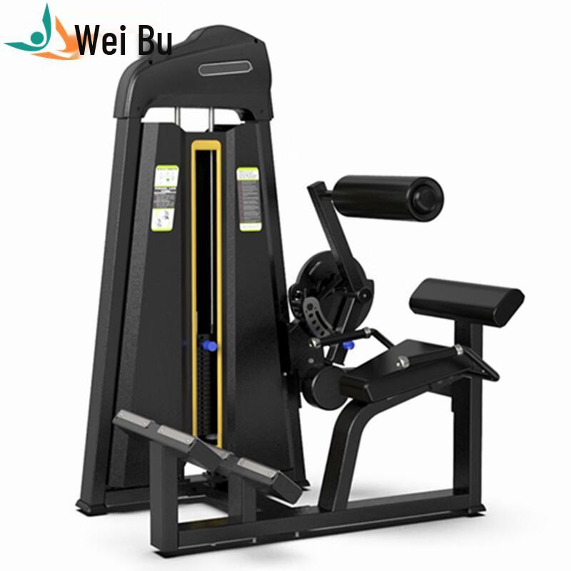 Weibu EM1015 Seated Back Extension Machine