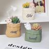 Сочный горшок с милыми животными, цветочный горшок из смолы, кашпо, домашний декор, домашнее украшение, настольные украшения, горшок для растений бонсай