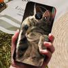 Чехол для Xiaomi Redmi A3, роскошный силиконовый чехол для телефона Redmi A3, полностью защитный чехол для Redmi A3 A 3 6.71" с мультяшным рисунком.