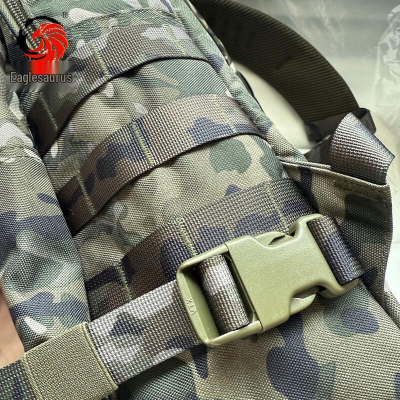 Тактический Военный Рюкзак "Клюв Орла Дракон" YZLB-01