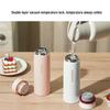 Lock&Lock Fete Series Lightweight Insulated Water Bottle