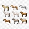 Fjord Horse American Quarter Horse Iron On Heat Transfer Printing Vinyl Patches Sticker for Clothes DIY Appliques Washable Patches