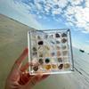 36/64/100 Grids Seashell Display Box Acrylic Magnetic Seashell Storage Box Small Craft Jewelry Rock Organizer Compartment Case