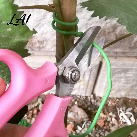 Indoor And Outdoor Plant Organizer 32.8Ft Twist Garden Green Soft Tie Tie with Spool 2.5mm Diameter