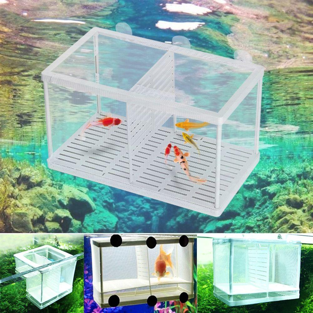 Guppy Rearing Double Aquarium Incubator Breeder Breeding Isolation Box Grow Seed Holder Hatchery