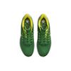 Nike Мужские кроссовки Air Zoom Pegasus 39 Oregon Green Apple-Green Yellow-Strike DR1970-300