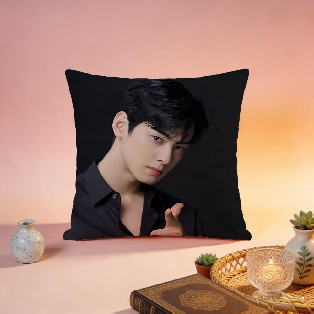 Hot CCha Eun Wooable Cushion Cover Premium SkinFriendly Pillow Case MultiPurpose for Home Office Travel