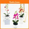 Potted Simulated Phalaenopsis Artificial Artificial Flower Desktop Ornament