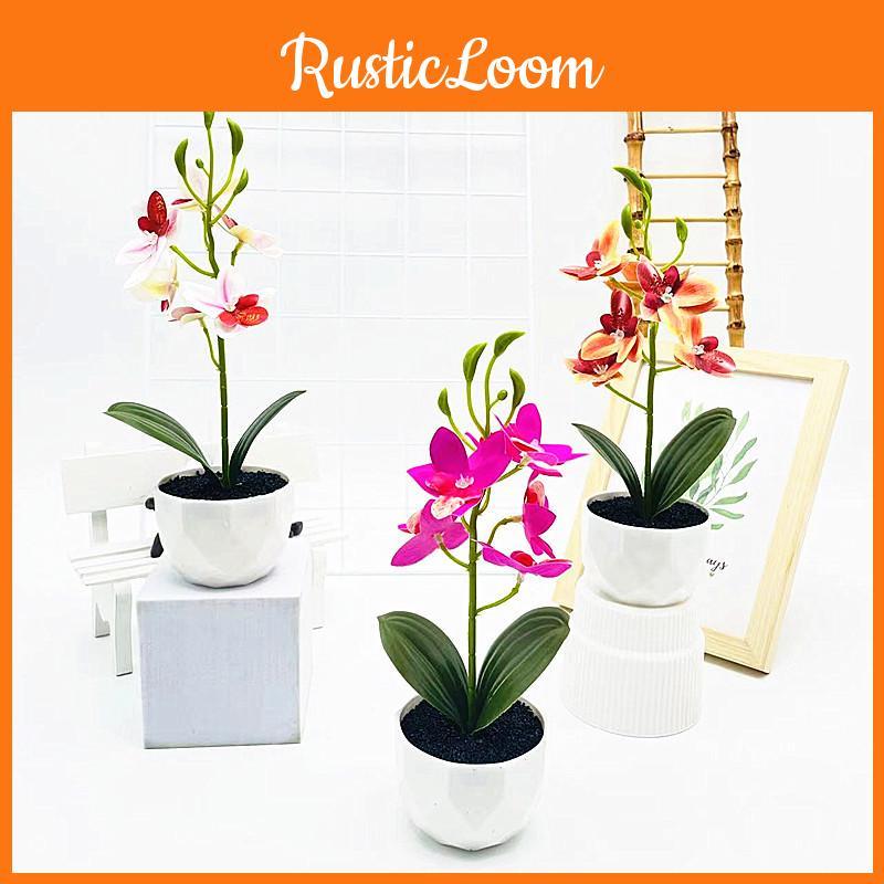 Potted Simulated Phalaenopsis Artificial Artificial Flower Desktop Ornament