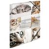 Herma Elasticated Cardboard Folder A4 Animals (Cats)