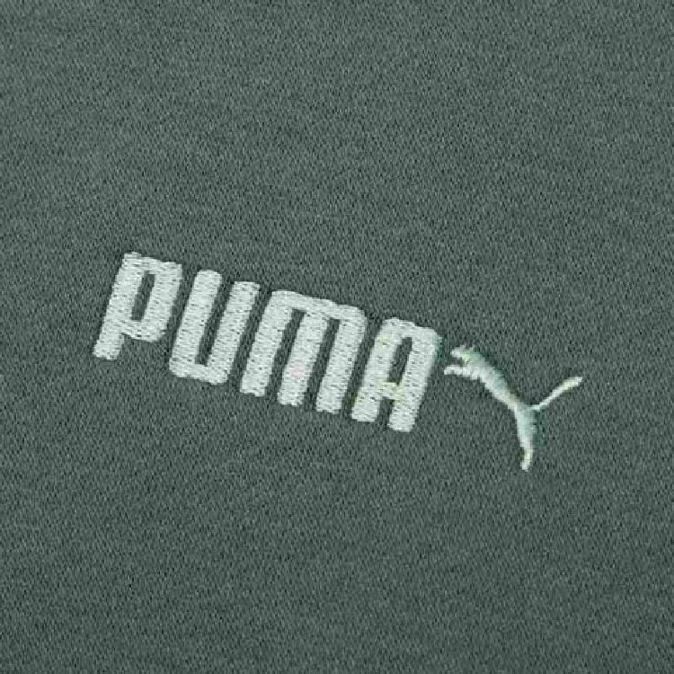 Puma FW22 Solid Color Logo Embroidered Pullover Crew Neck Long Sleeve Sweatshirt Men Tops Teal 534365-68