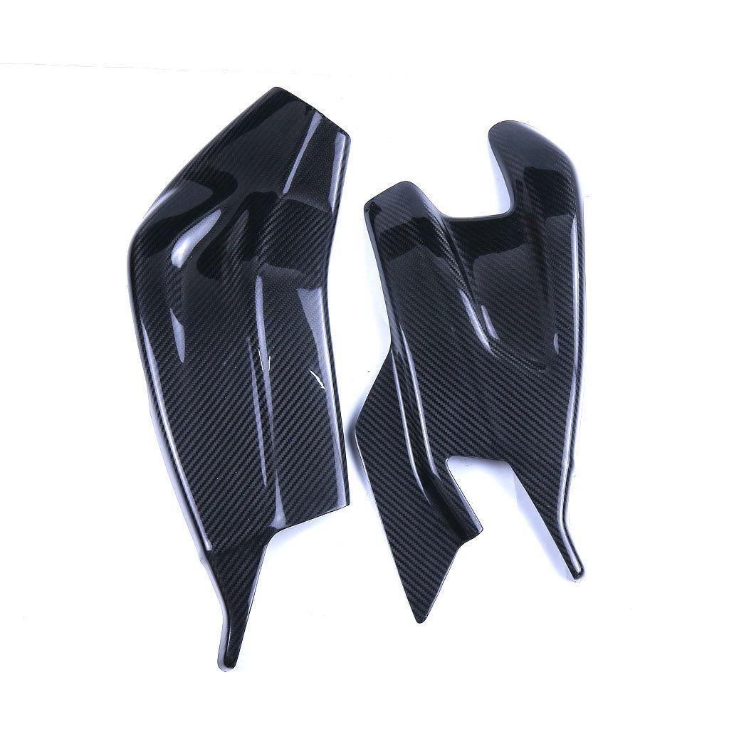 BMW S1000RR/S1000R Carbon Fiber Swingarm Cover (2009-18)