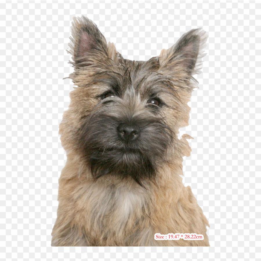 Кафе Терраса Ночью Ночное Кафе Звездная Ночь Термоперенос Печать Виниловые Нашивки Наклейки для Одежды Аппликации своими руками Моющиеся Нашивки