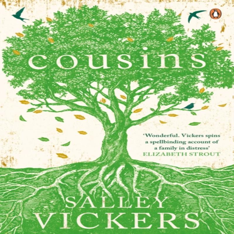 Cousins by Salley Vickers Paperback Book 9780241972298
