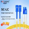 BOYANG Telecom-Grade LC-SC Single-Mode Fiber Optic Patch Cable