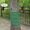 6 Pieces Tree Trunk Protector Sapling Breathable Plants Guard Anti Chewing Bark