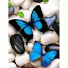 Diy Diamond Painting Butterfly Animal Full Round Embroidery Cross Stitch Handmade Painting Art Gift Home Decor 30x40cm/12x16inch
