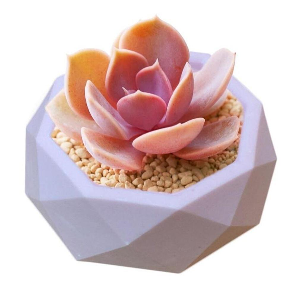 3D Handmade Creative Succulent Plant Flower Pot Silicone Mold Gypsum Cement Mini Flower Bonsai DIY Ashtray Candle Holds Molds