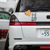 3Pcs Funny Pet Cat Car Sticker Climbing Cats Animal Styling Stickers Decoration Car Body Creative Decals Decor Accessories