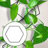 Indoor Outdoor Climbing Plants Chain Trellis Weather Resistant Simple Installation DIY Hexagonal Rings Plant Vine Support Garden Wall Trellis