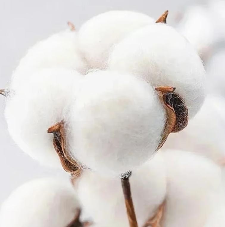 Футболка с круглым вырезом с графикой, вдохновленной ретро K-pop и творчеством ATEEZ Чхве Сана, с музыкальным артом для фанатов ATEEZ