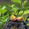2Pcs Miniatures Oriole Decorative Resin Bird Nest Figurines Mini Garden Ornament for Decorating Landscape