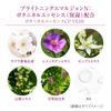 TWANY Brightening Emulsion N Prevents Dark Spots and Freckles II, 100ml, Quasi-drug, Fragrance-Free, Color-Free, Moisturizing, Translucent,
