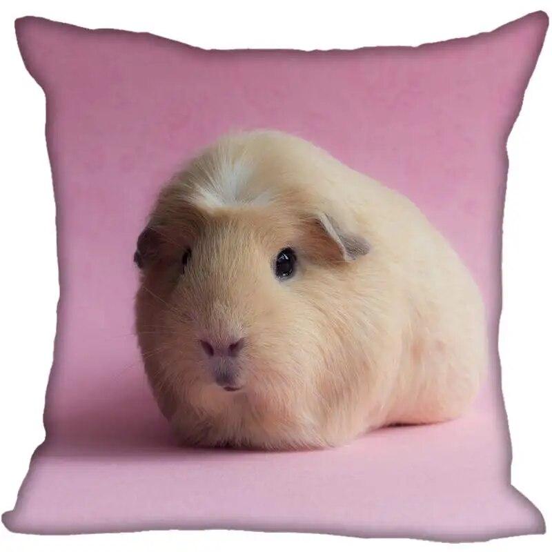 Наволочка для гостиной с морской свинкой в ​​современном доме