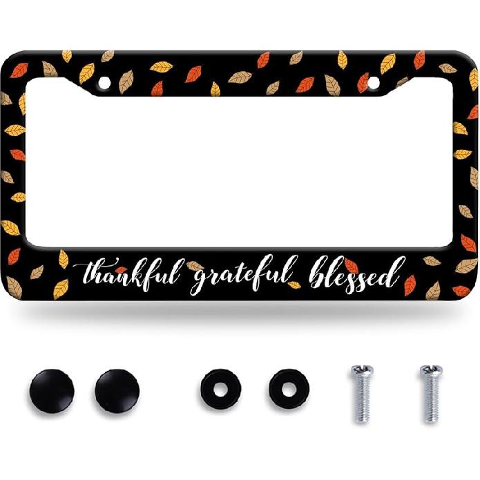 n Flag Eagle License Plate Frame Patriotic Eagle License Plate Colorful Stainless Steel Auto Parts Funny License Plate Decoration with Screws Size