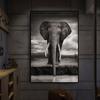 African Black and White Elephant Canvas Painting Animal Posters and Prints Wall Art Pictures for Living Room Cuadros Home Decor No Frame