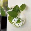 1/2/4/6pcs Transparent Wall Mounted Vase Wall Hanging Glass Terrariums Planter Flat Glass Vase