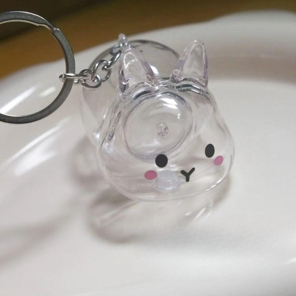 Keyrings Memorial Pet Hair Storage Keychain Transparent Rabbit Hair Storage Box Jewelry Gifts