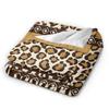 Traditional Ethnic Tribal Pattern  Fleece Throw Blanket Kizomba Blankets for Home Travel Ultra-Soft Bedroom Quilt,
