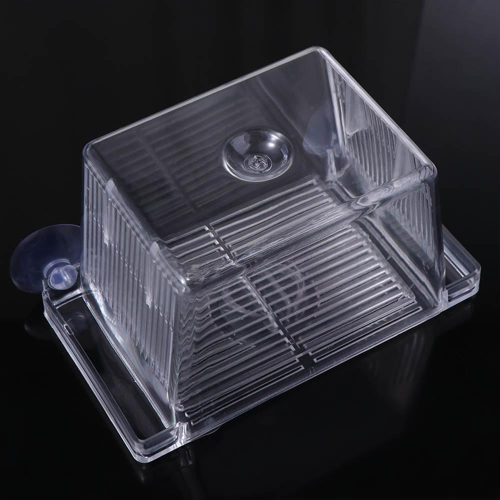 Изоляционная коробка для разведения рыб в аквариуме из прозрачного акрила с присосками для инкубатора для детенышей креветок-клоунов