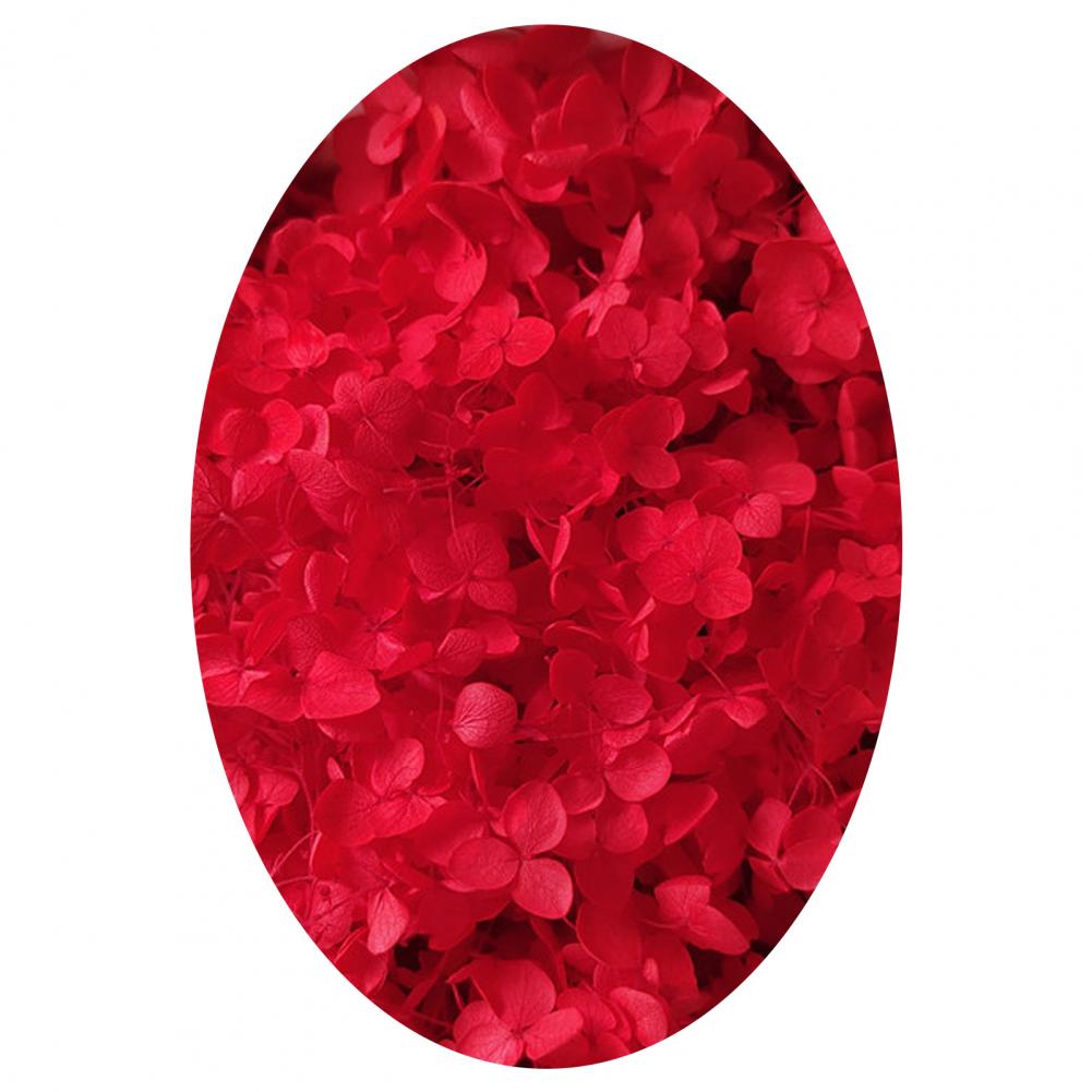 1 коробка цветных сухоцветов натуральные реалистичные головки гортензии своими руками натуральные свежие стабилизированные цветы гортензия свадебные сувениры