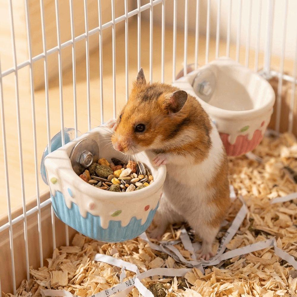 Large Capacity Ceramic Hamster Food Bowl Fixed Bowl Automatic Feeder Small Pets
