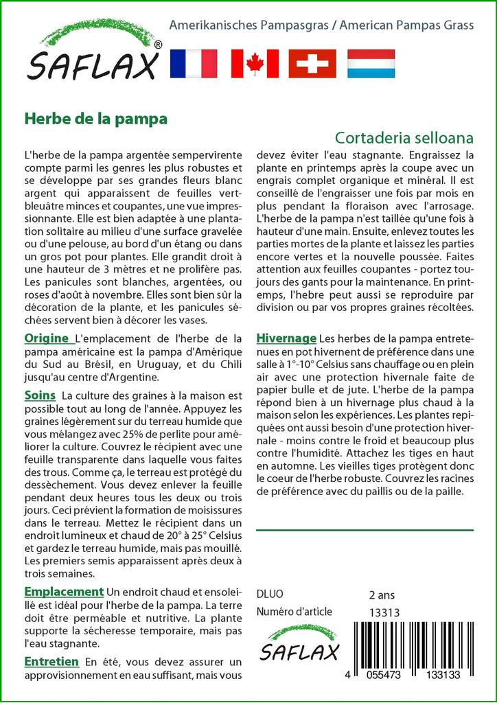 SAFLAX Garden in the Bag - Трава американской пампасы - 200 семян - С субстратом в подходящем мешке - Cortaderia Selloana
