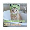 Неразумный кошачий календарь 2026 Янв.2026 - Дек.2026 12-месячный календарь Смешной котенок Настенный планер для украшения дома и офиса