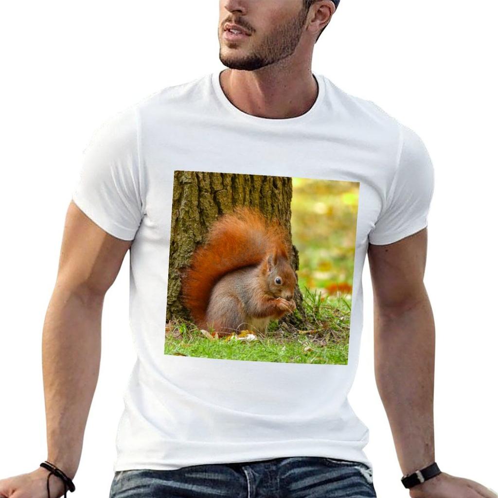 Little eurasian red squirrel T-Shirt Casual Holiday Short Sleeve Tee