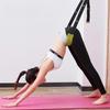 Door-mounted Stretch Trainer: Hip Splits, Vertical Splits, Ligament Stretcher, Dance Waist Opener.