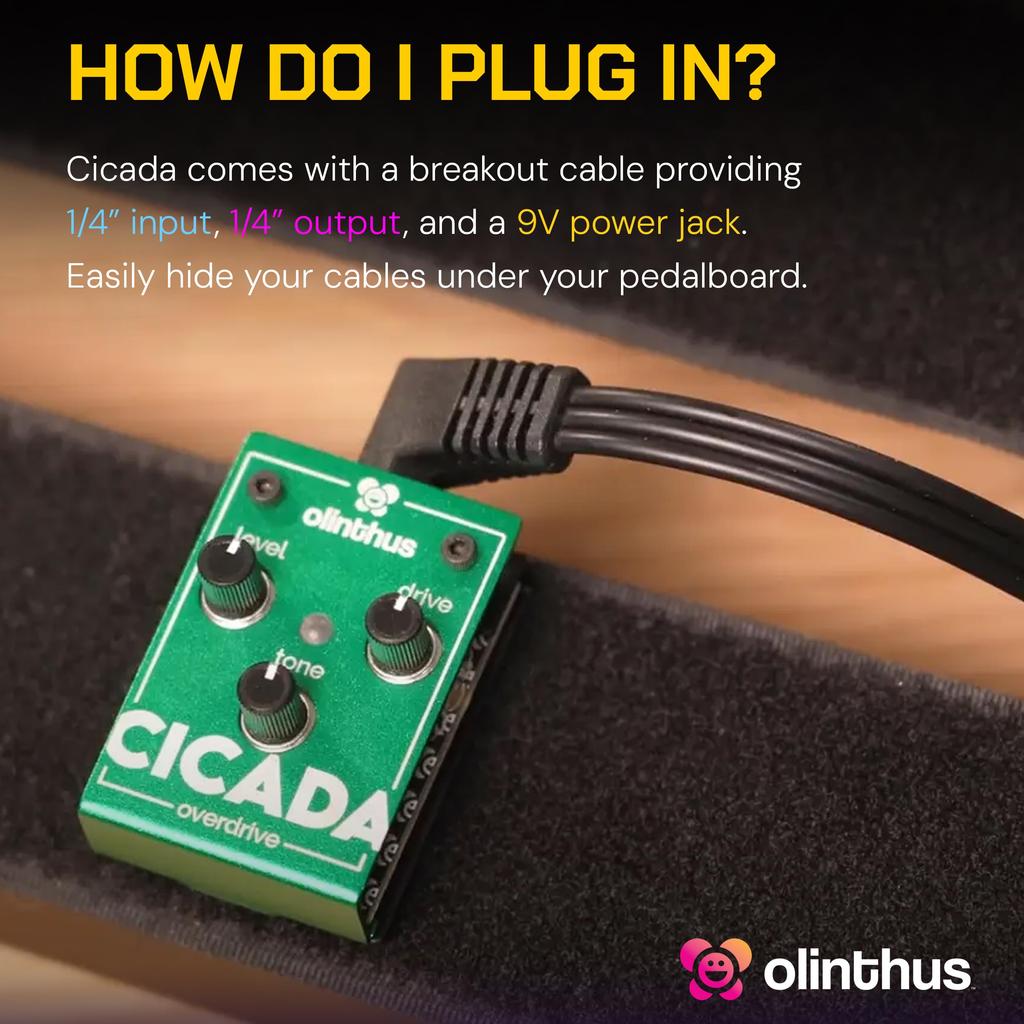 Педаль эффектов Olinthus Cicada Overdrive [В комплекте кабели-разветвители для входа и выхода]