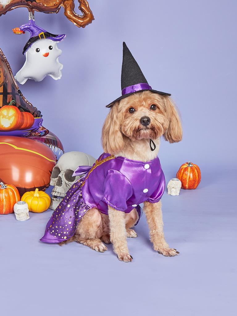 Halloween Dog Dress with Witch Hat Holiday Theme Dog Holiday Party Dresses for Small Dogs Girl Halloween Cat Costume Adjustable