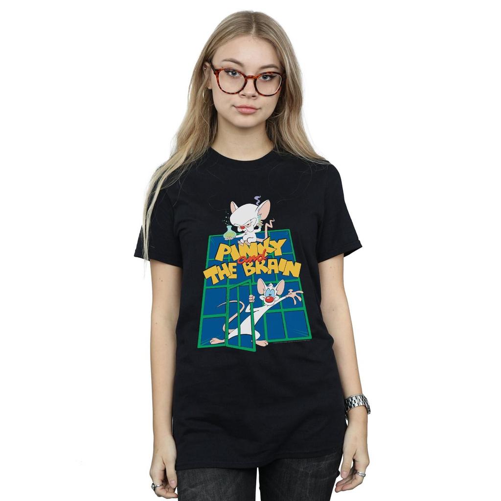 Animaniacs Womens/Ladies Pinky And The Brain Laboratory Cotton Boyfriend T-Shirt