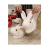 Женский кролик Пандуф
