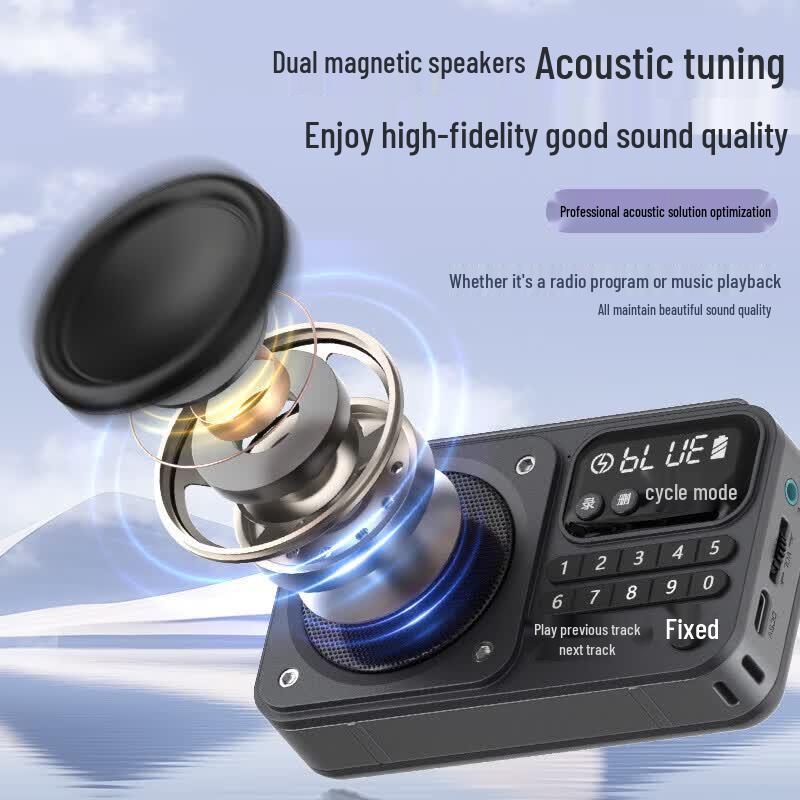 Newsmy N123 Portable Radio Bluetooth Speaker for Seniors (CN version)