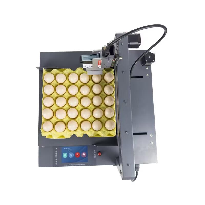 DH Donghui 660-6 Automatic Egg Inkjet Printer