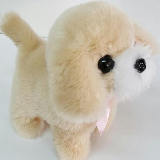 Jamina Dog Toy, Popular Toys In Korea