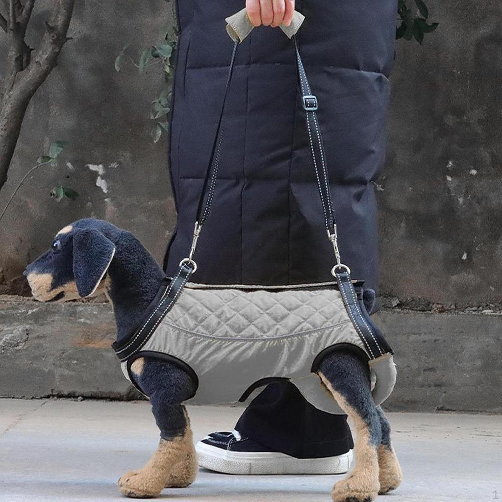 Регулируемая шлейка для поддержки собак, обеспечивающая помощь в передвижении