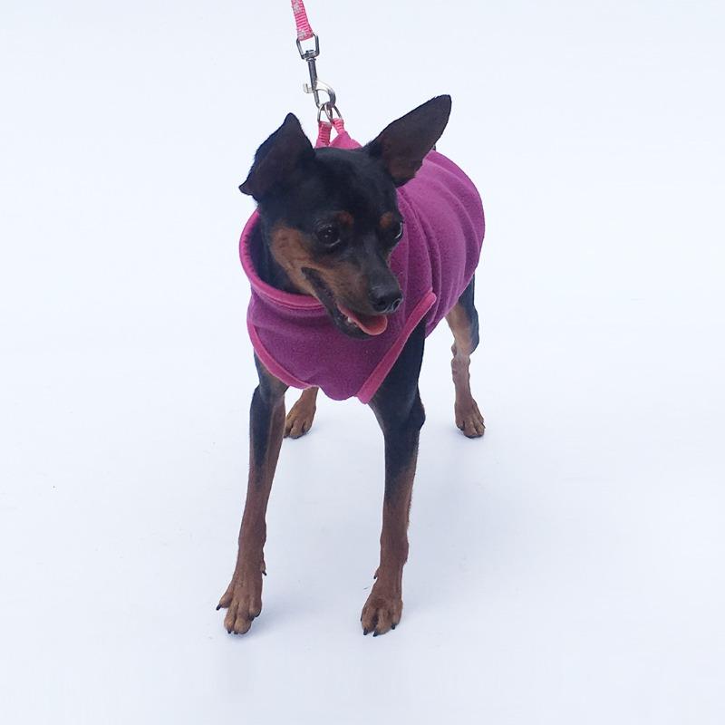 Pet clothes, dog clothing, stand-up collar placket fleece (sleeveless) lightweight fleece RY